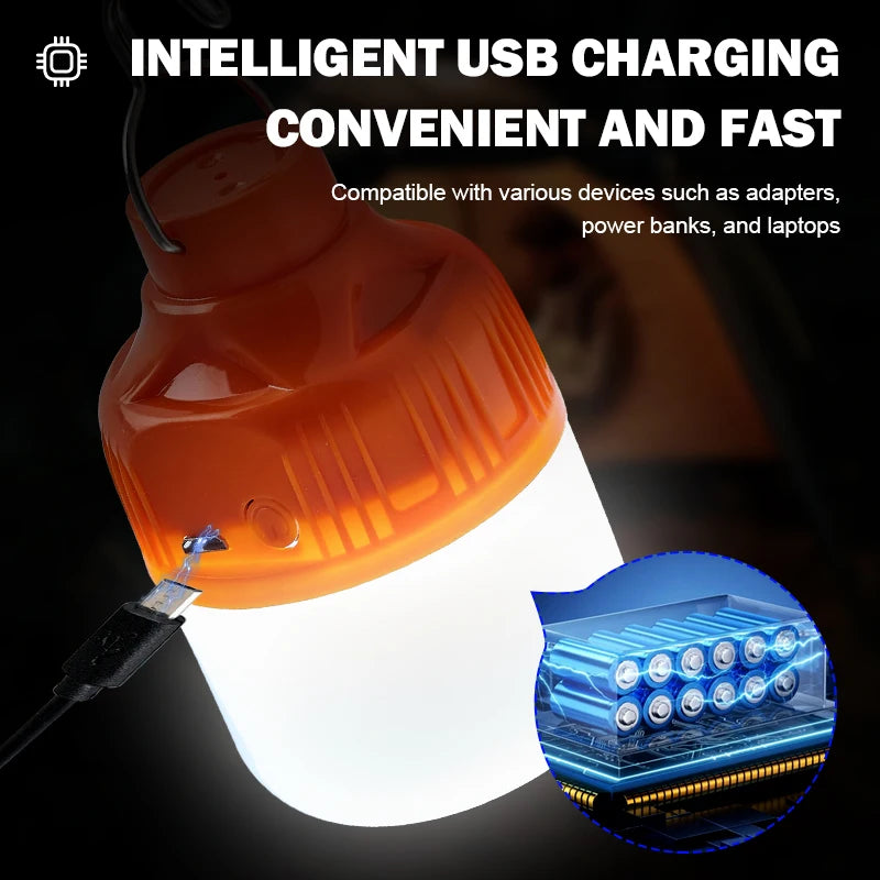 The Anywhere Bulb — USB Rechargeable Portable LED Light